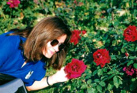 Розы на набережной Женевского озера.